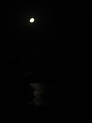 Bulgariatek Varvara 2008 237