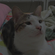 2017-07-20 08.10.11 1563161646473764167_338237262