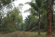 IMG-2966