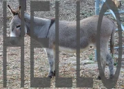 Text to Mask Build With Filters Maker v1 0 20012026152545