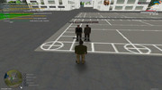 IMG-0335