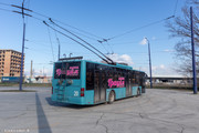 IMG-5564