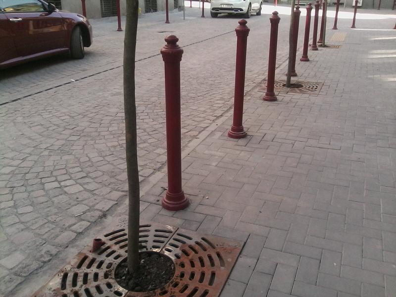 IMG-20190401-170300.jpg