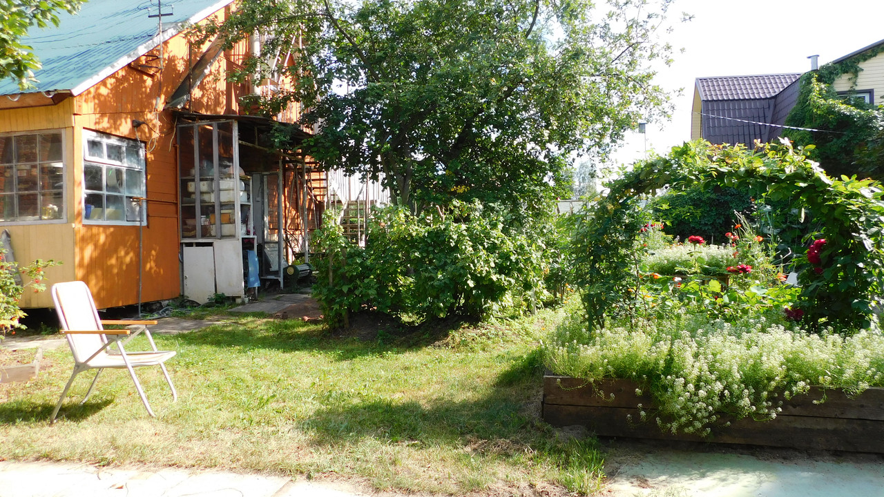 Дачно-Харлинский июнь-июль 2024 162