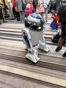 IMG-4662