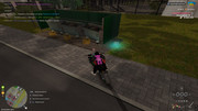 IMG-6690