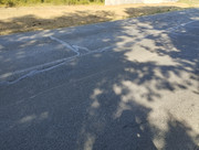 IMG-20240824-100351.jpg
