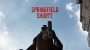 Springfield Shorty - right of center
