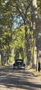 Screenshot-20260914-134358-Gallery.jpg
