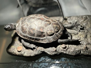 a1c62da8-d981-4d25-9978-bbfab94185cc