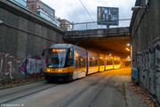 IMG-1774