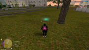 IMG-6631