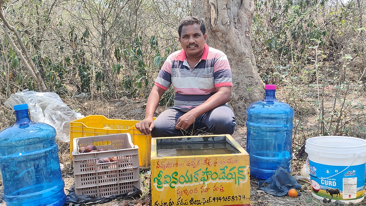 Animal Rescue & Care