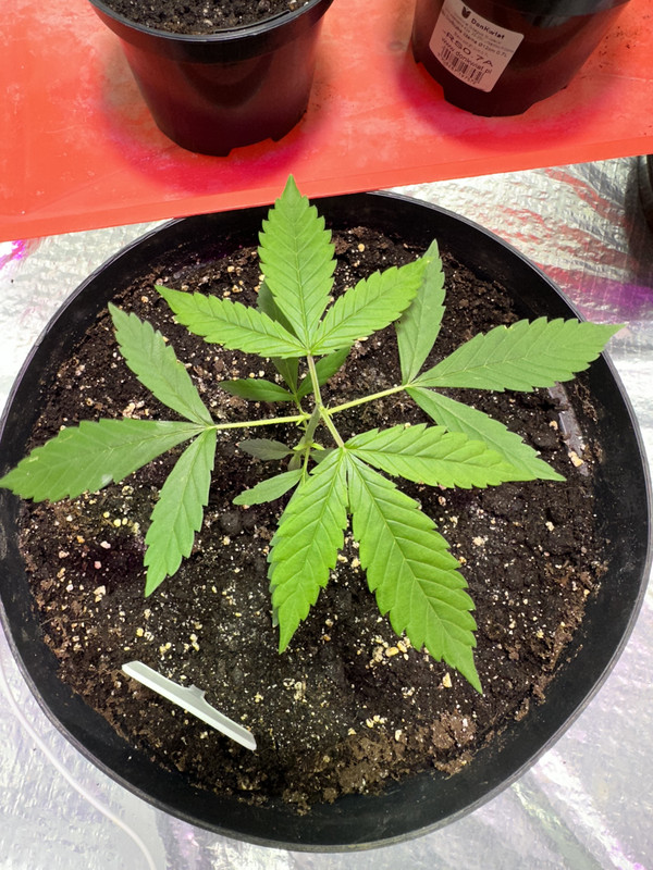 AC8EED7A-3BAE-4651-8297-433728BE7126