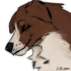 7A4FF2C0-33A5-4DFA-A7B6-87DB1146A529