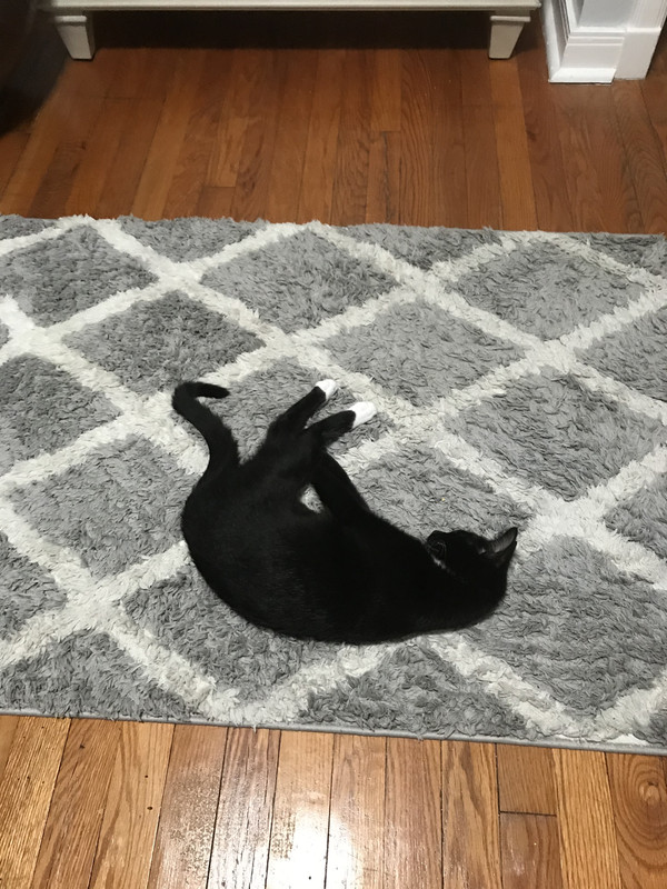 564B3388-B3F2-45D1-B295-6EB08B8F72B3