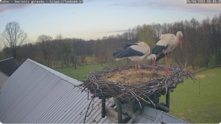 ScreenHunter_519 Apr. 05 12.08