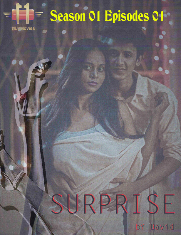 Surprise 2020 S01E01 Hindi 1UpMovies Web Series 720p HDRip 240MB Download