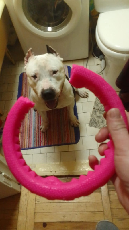 30068BDD-FB27-409F-BFF8-648A60FA8466