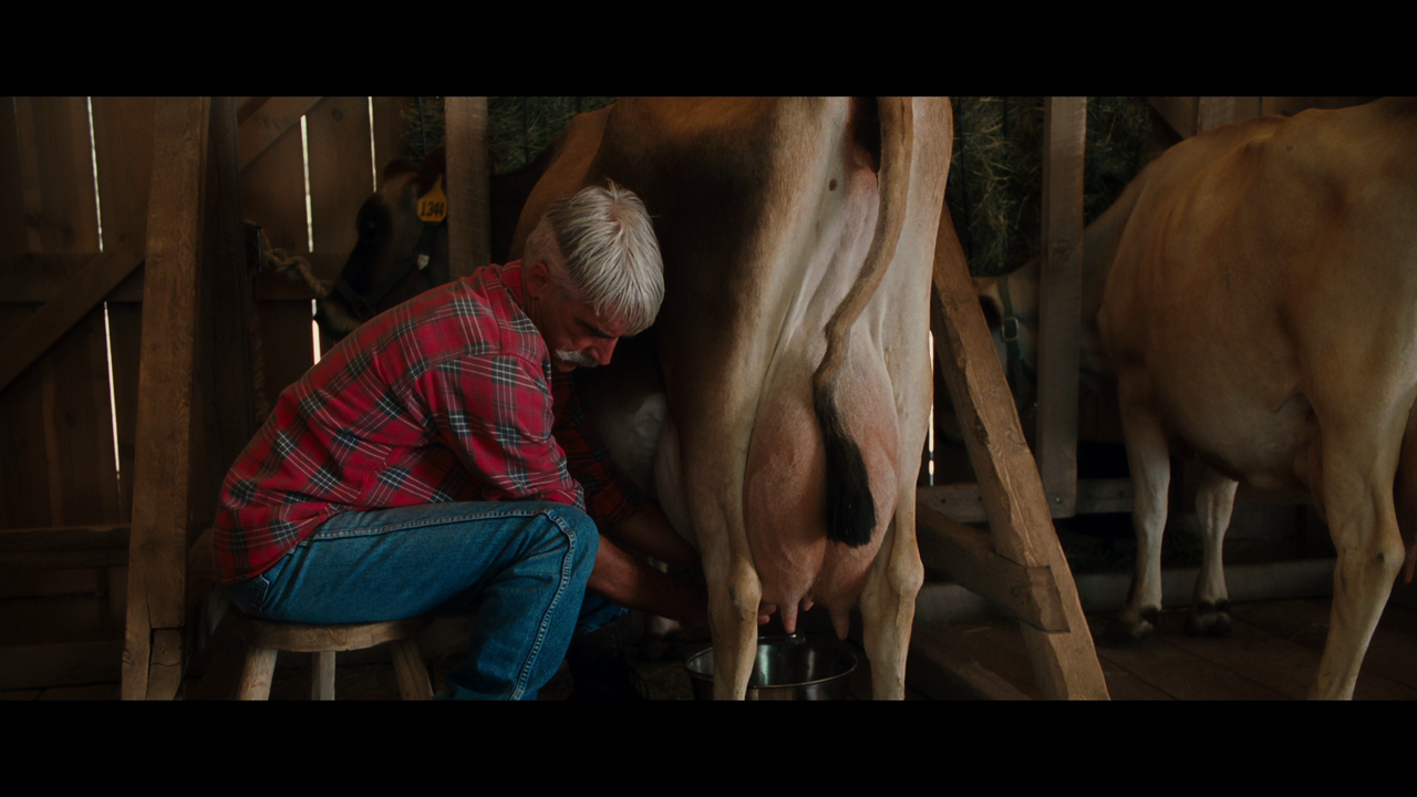 vlcsnap-2025-01-06-12h31m02s189