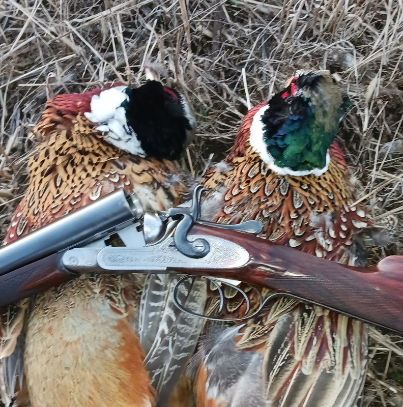 [Linked Image from i.postimg.cc]