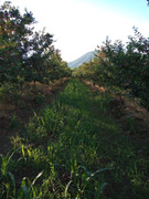 IMG_20210614_182254488