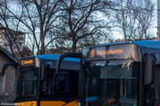 IMG-4393