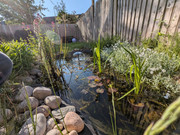 PXL-20250513-070944171-MP