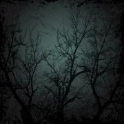 Autumn-Witchery-Papers-39