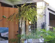 photo 30 2025 12 24 16 22 41