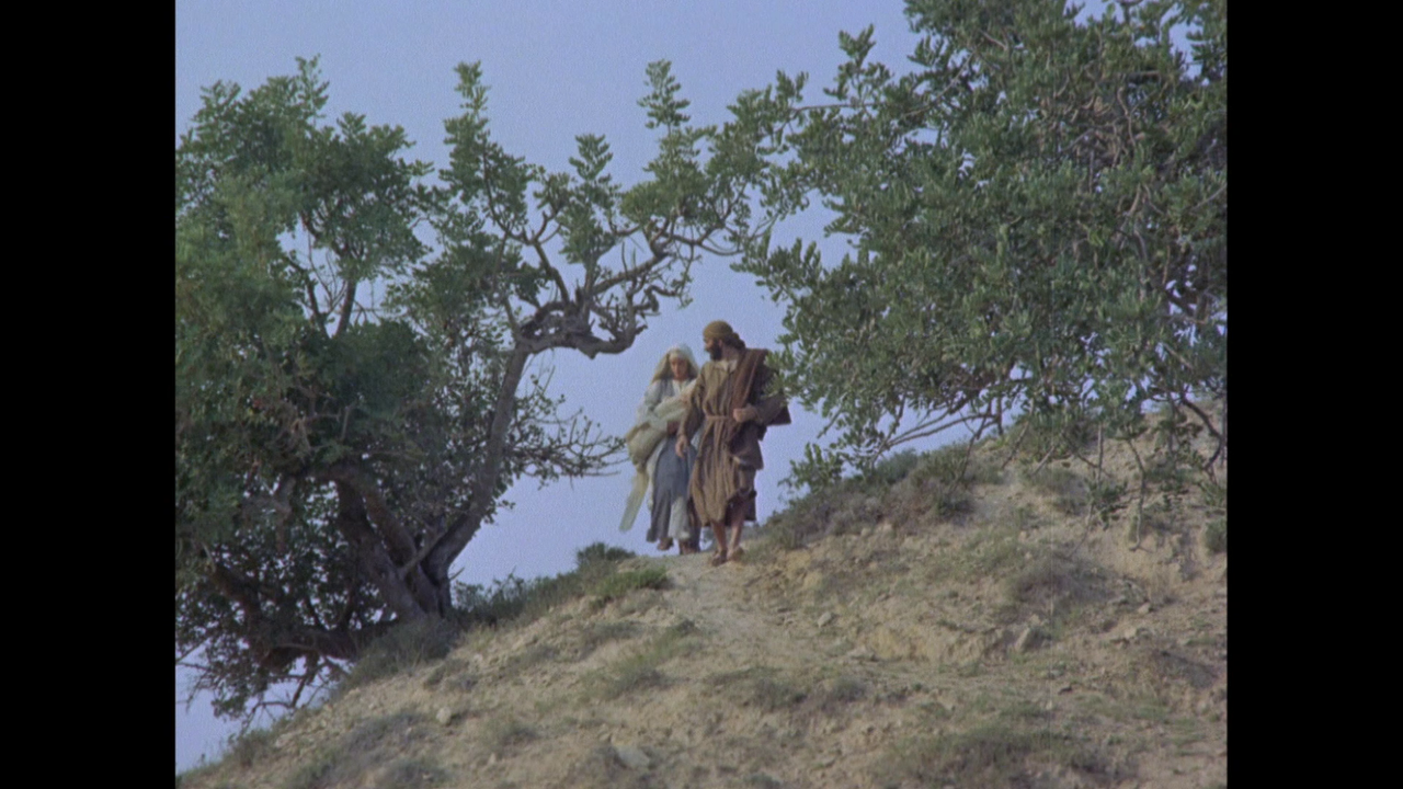 vlcsnap-2024-08-03-19h52m51s472