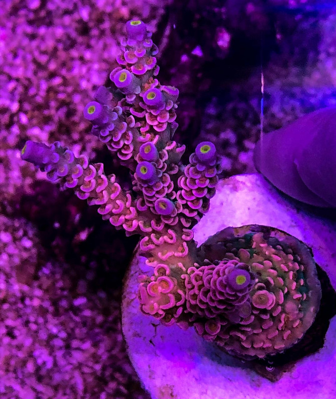 4DF89EB6-20FD-4772-BE3F-31BD7CFA7D0B