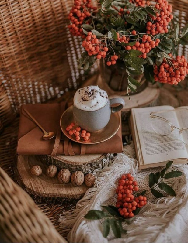 Screenshot_20230129_231756_Chrome