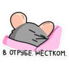 https://i.postimg.cc/MZ0nqF0n/1-84099-512b.png