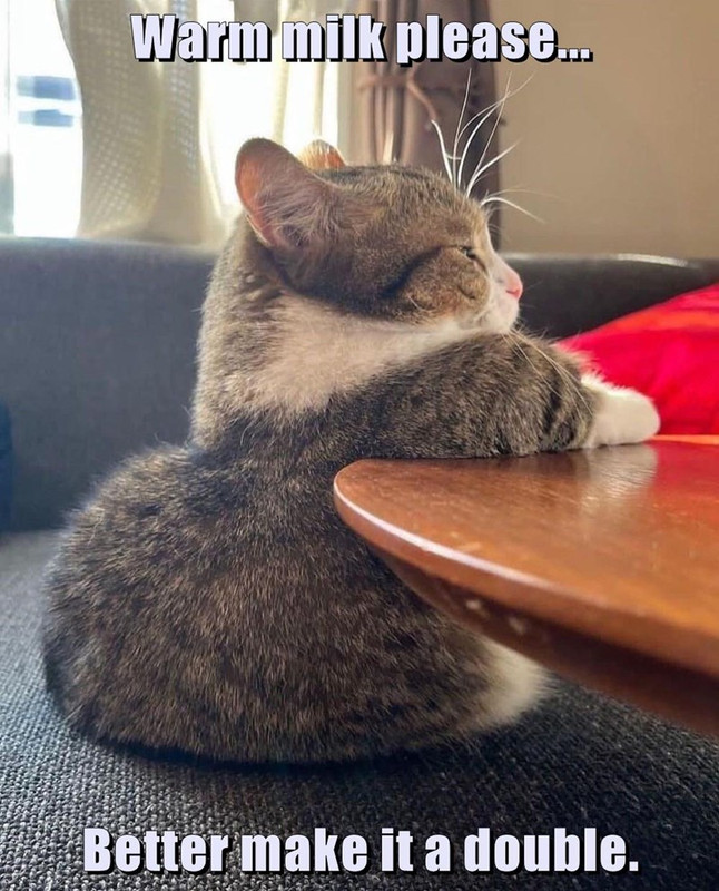 purring-pub