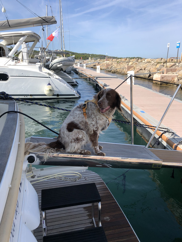 CFBEB693-96CF-414F-973E-F25C280D5058