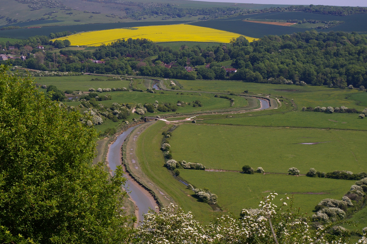 Alfriston-11-5-08-028.jpg