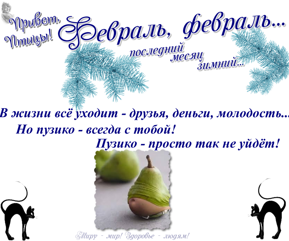 https://i.postimg.cc/MZ0xd2Xv/06-02.png