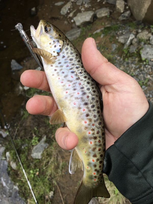 5E8C827E-2EBF-4E06-8215-2CABB410DFBF