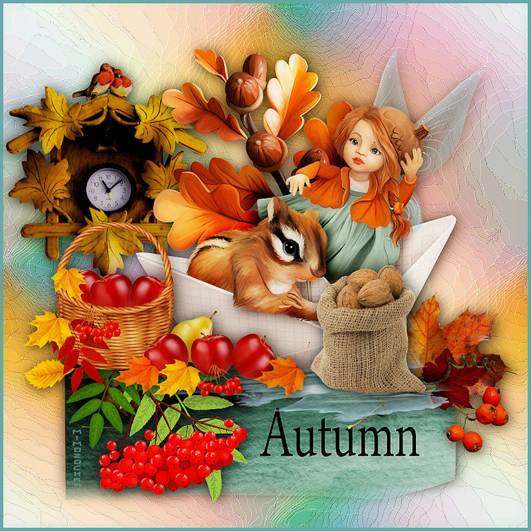 Дары осени для белки