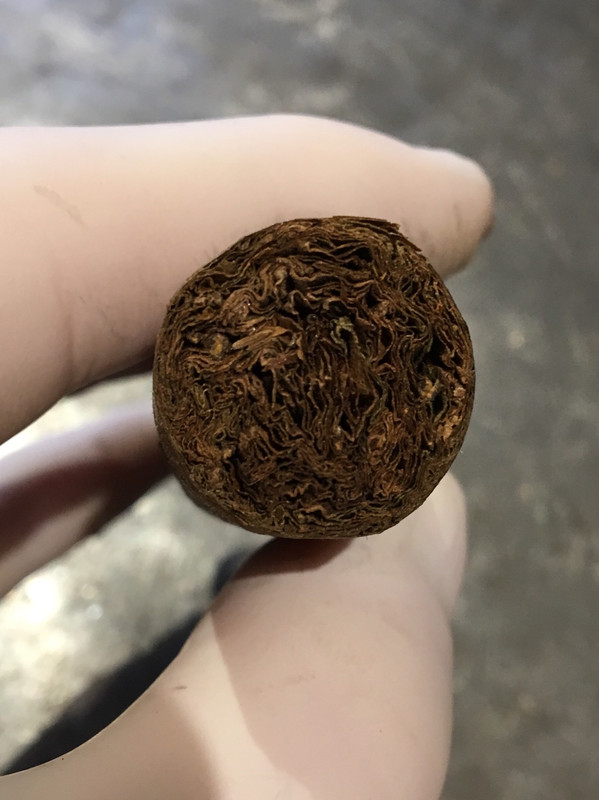 59176F64-E226-4797-9DFE-CBE221AA27ED