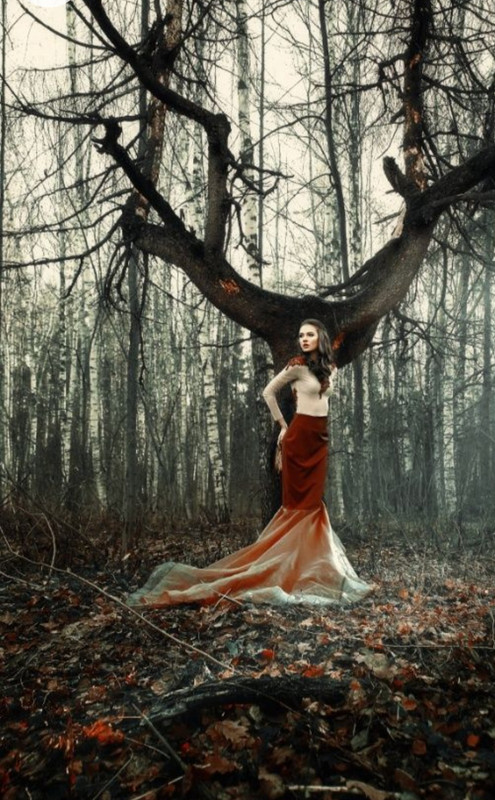 Screenshot_20230211_175213_Chrome