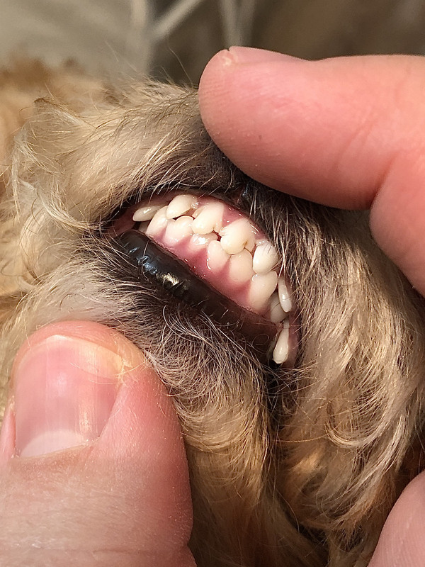 A7F173A2-746F-4647-8DC1-56C4C6E28A9F