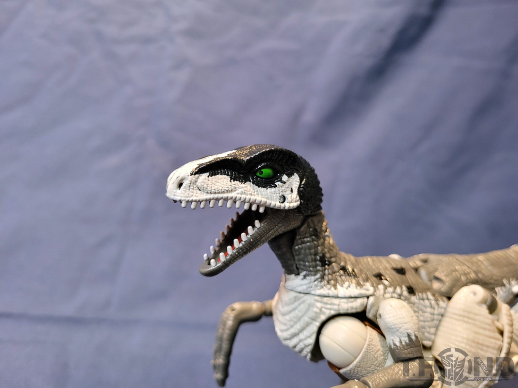 War-For-Cybertron-Maximal-Grimlock-15