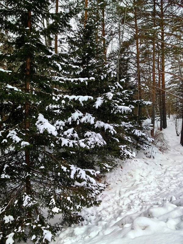 IMG_20250112_141634_edit_60335539622815