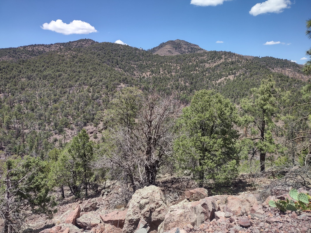 IMG_20250704_132311844_HDR