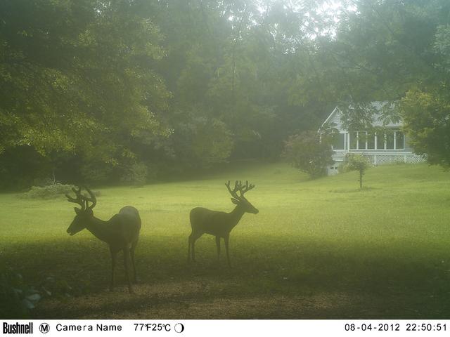 979EC79E-DBB2-4592-9309-706CF0922175