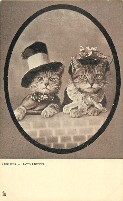 03-2011-10-06-11-37-49