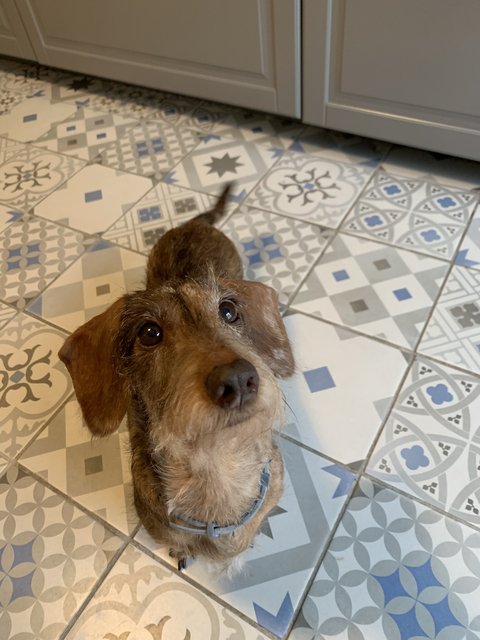 [Image: AA8-C5684-EB82-489-E-BA46-E4-BE7-FAEE92-B.jpg]