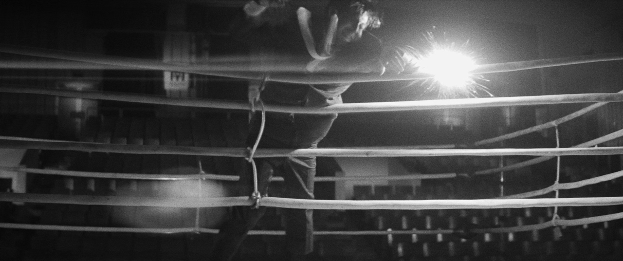 vlcsnap-2025-01-21-03h19m59s454